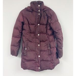 Tommy Hilfiger Burgundy Puffer Winter Hooded Jacket
